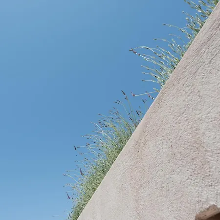 Albus 빌라 피르고스