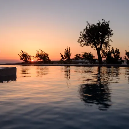 Albus * 피르고스